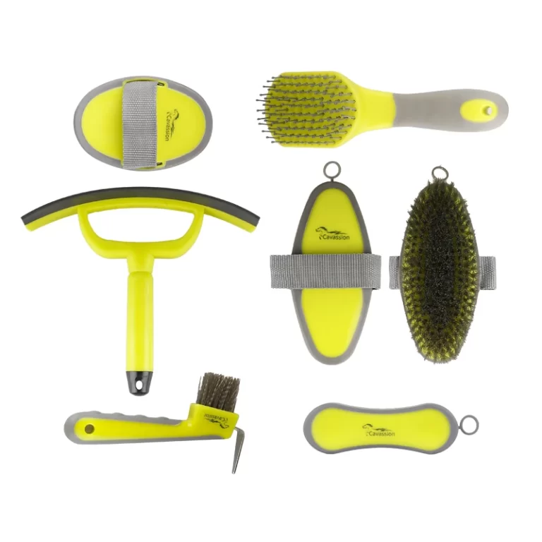 Cavassion Grooming kit for horses horse hair brush horseshoe hook equestrian tool box massage brushes 2