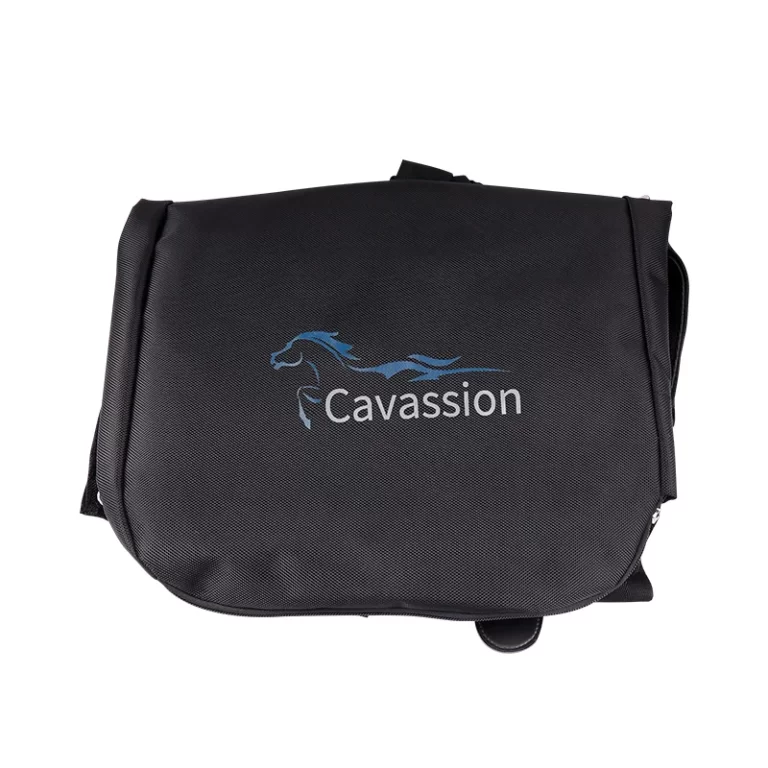 Cavassion Equestrian Horse Excreta Bag when horses take part in games in the city centre riding horses 2