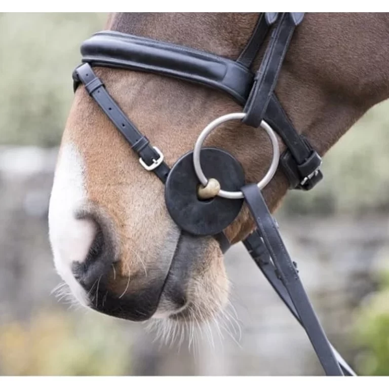 protect the horse mouth gag bit black and brown color 3
