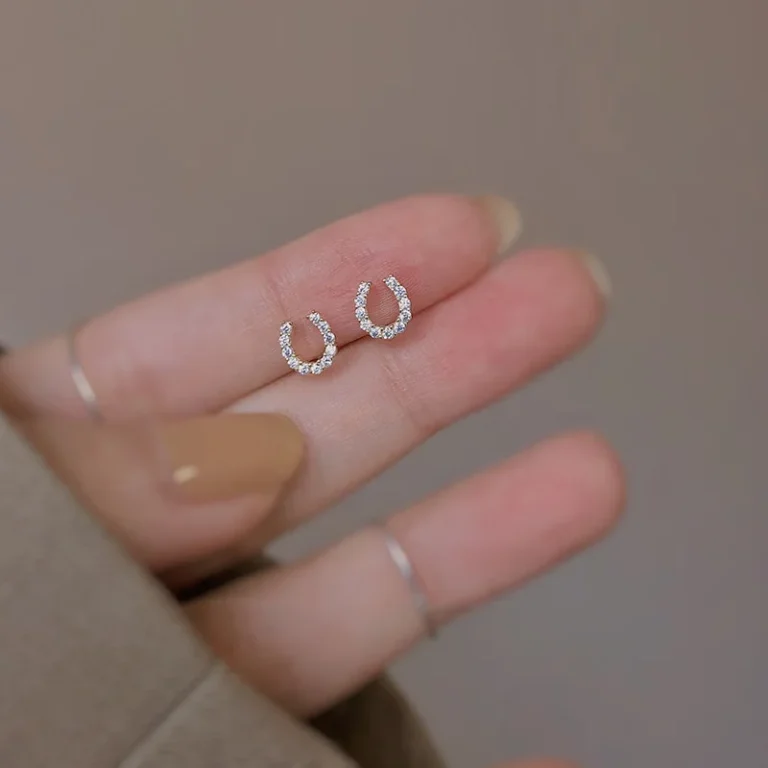 Nouvelle mode 925 argent aiguille fer à cheval Zircon boucles d'oreilles pour femmes femmes filles mignon boucles d'oreilles bijoux accessoires cadeaux 5